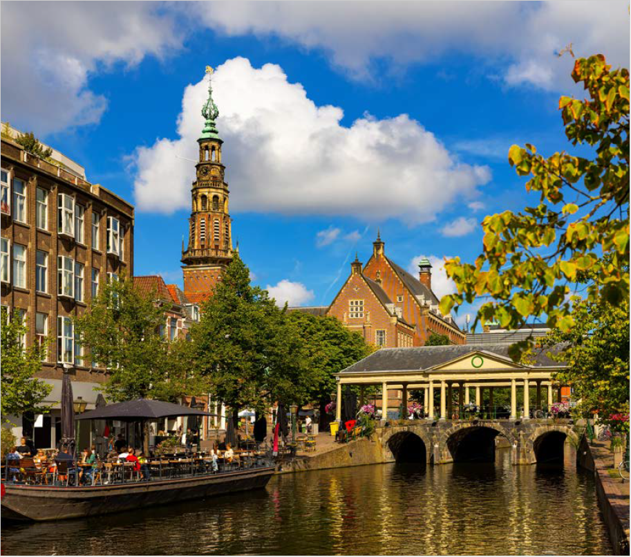 Houten Puzzel Leiden | 50 stukjes