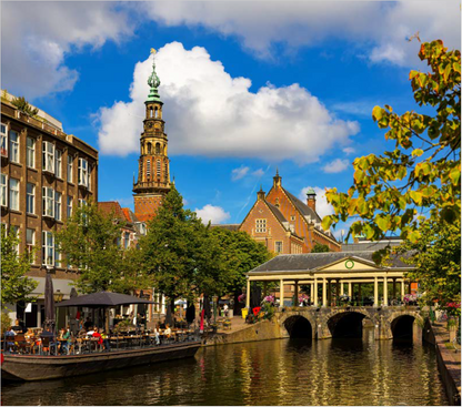 Houten Puzzel Leiden | 50 stukjes